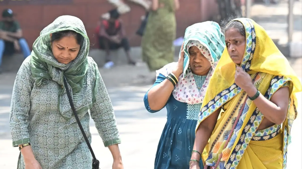 The city and suburban areas are expected to experience mainly clear skies, which may lead to higher daytime temperatures