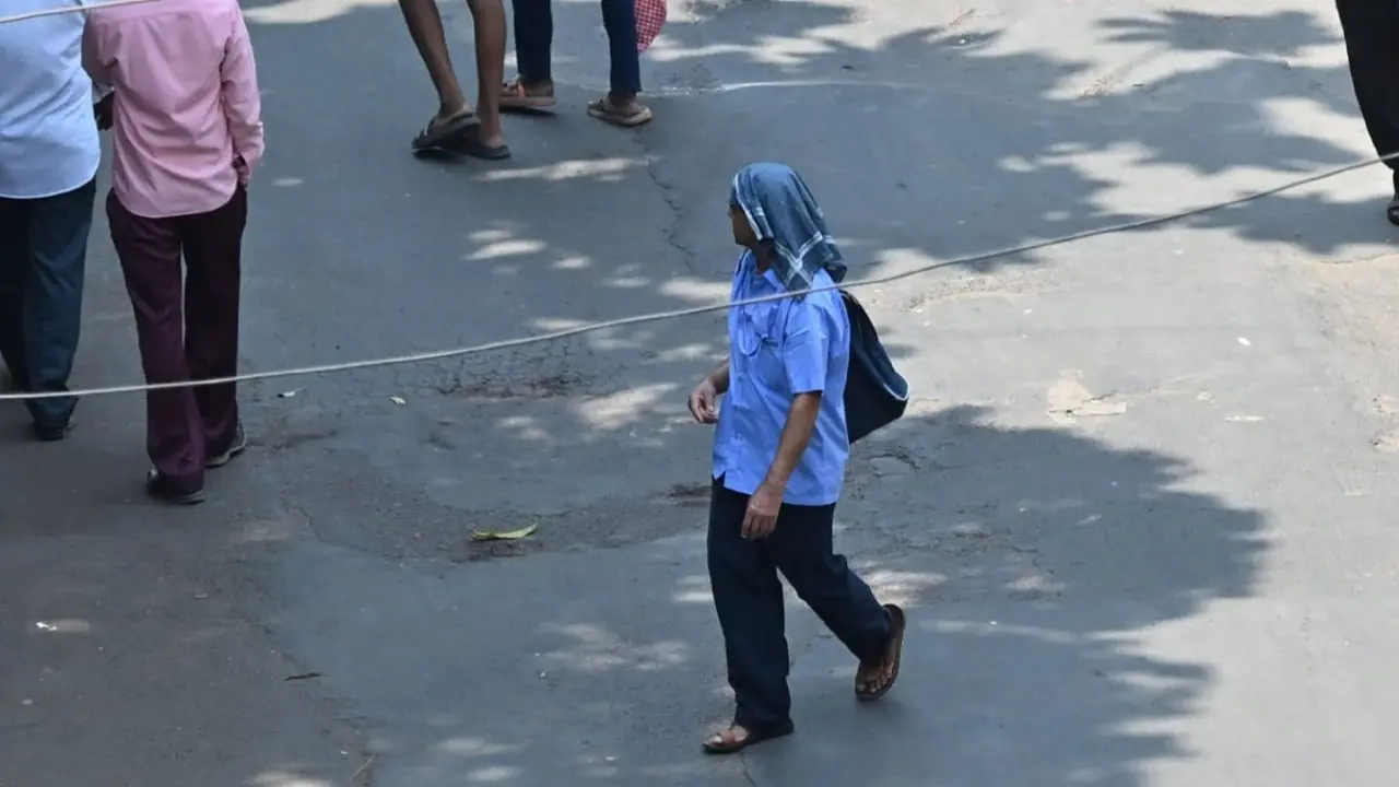 The IMD had forecast maximum and minimum temperatures to hover around 36 degrees Celsius and 23 degrees Celsius