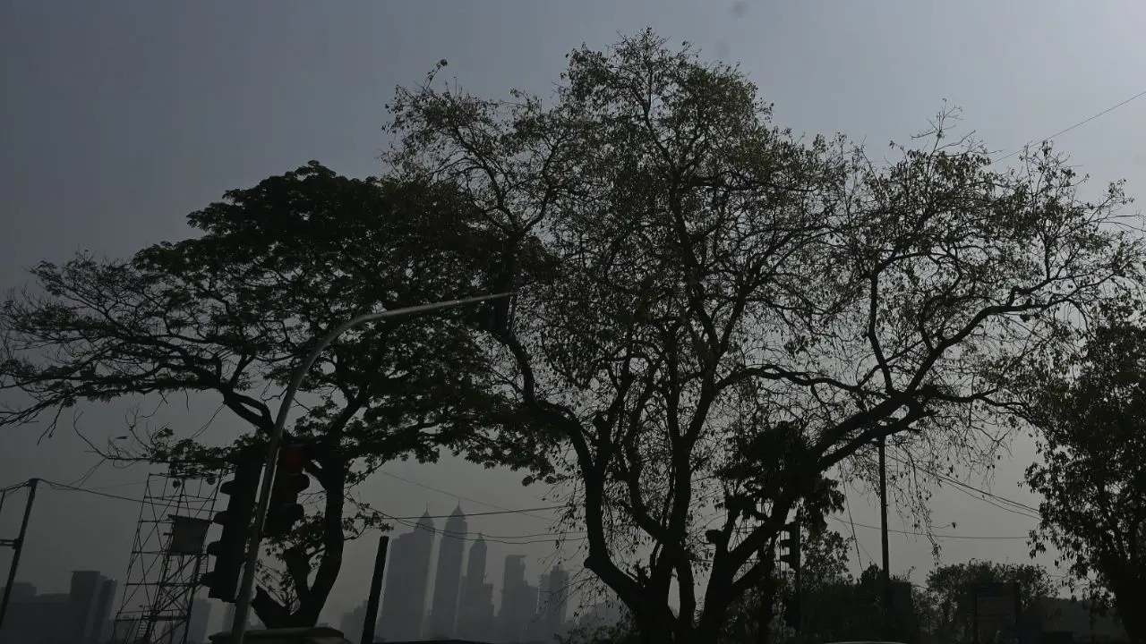 According to Bikram Singh, regional head, RMC Mumbai, the southeasterly winds in lower levels and anticyclonic circulation in middle tropospheric levels are responsible for the low visibility the city was experiencing in the past few days. 