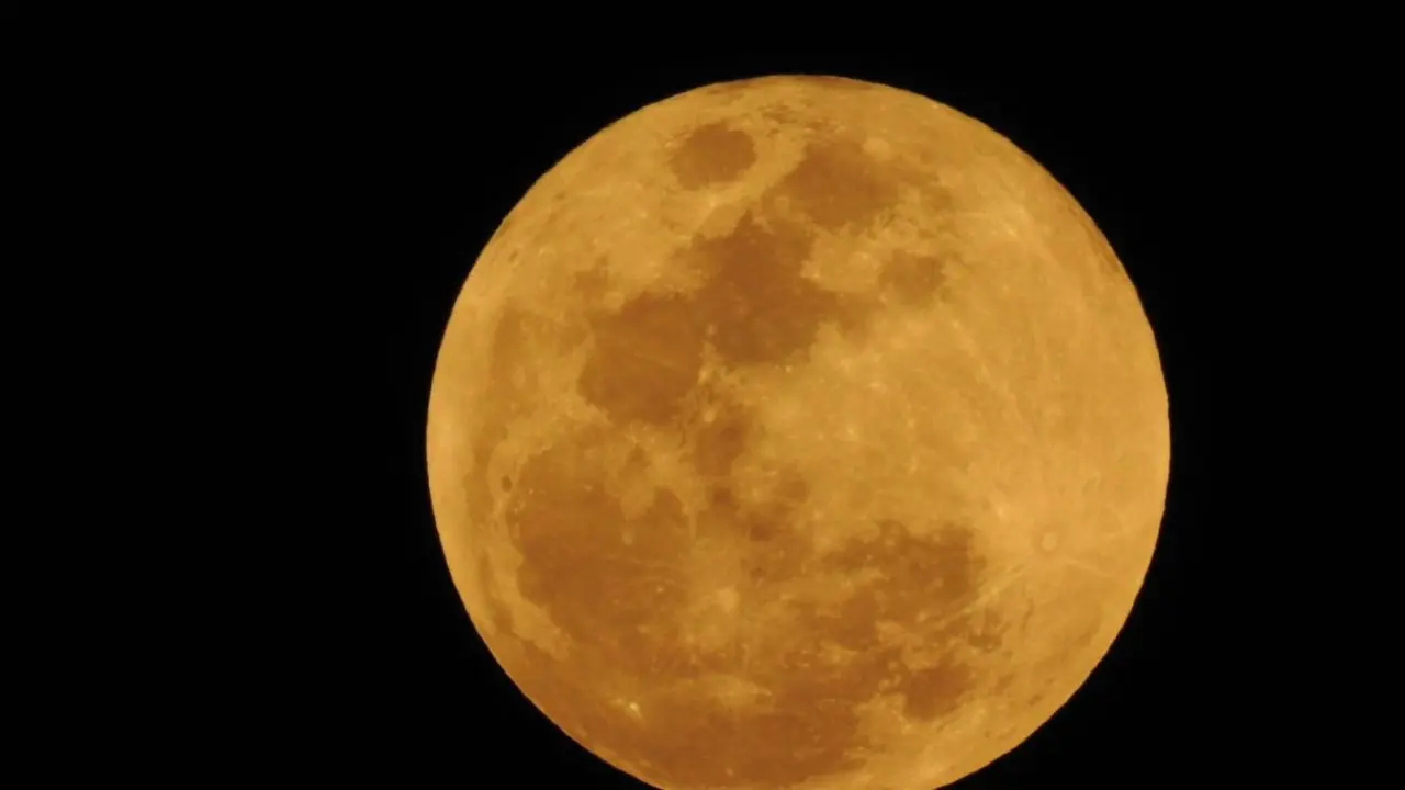 IN PICS | Celestial spectacle: Stunning shots of lunar eclipse from Aarey