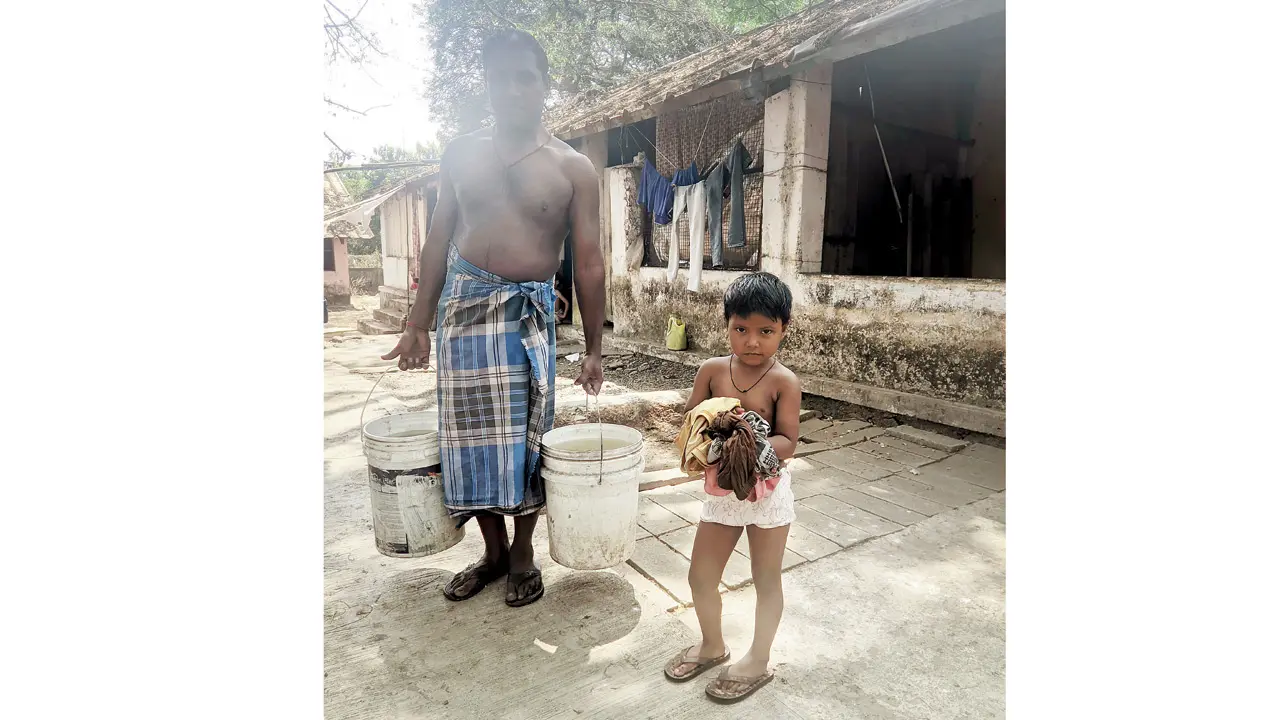 A father-son duo with cattle farm water