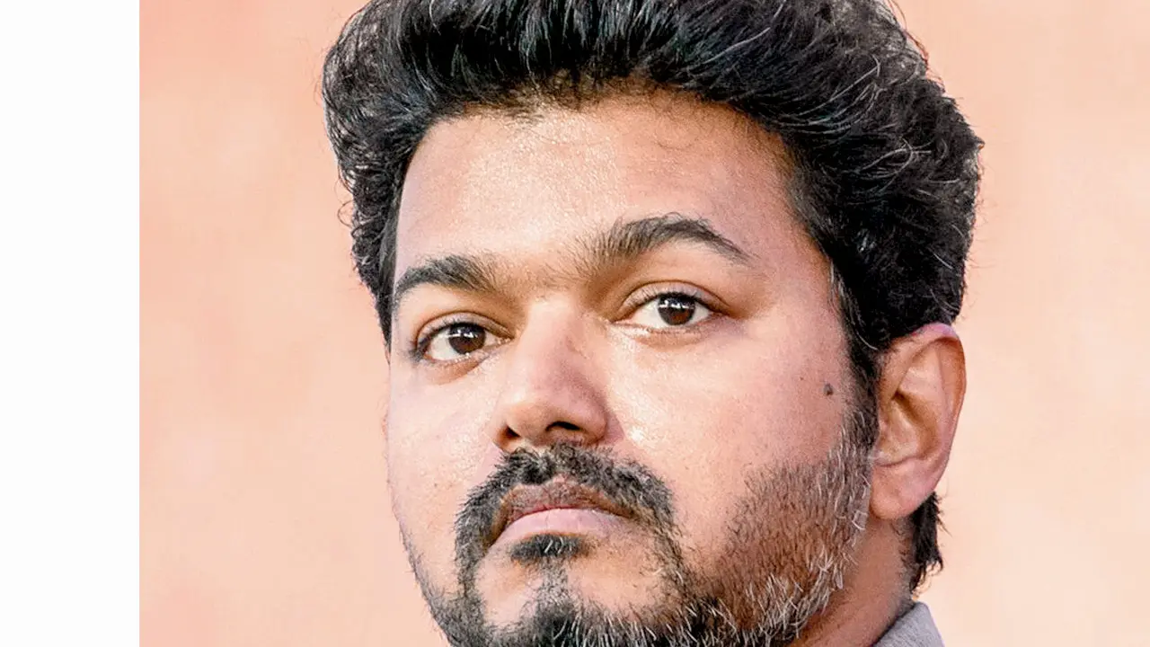 Tamil Nadu Assembly polls 2026: TVK chief Vijay releases list of candidates