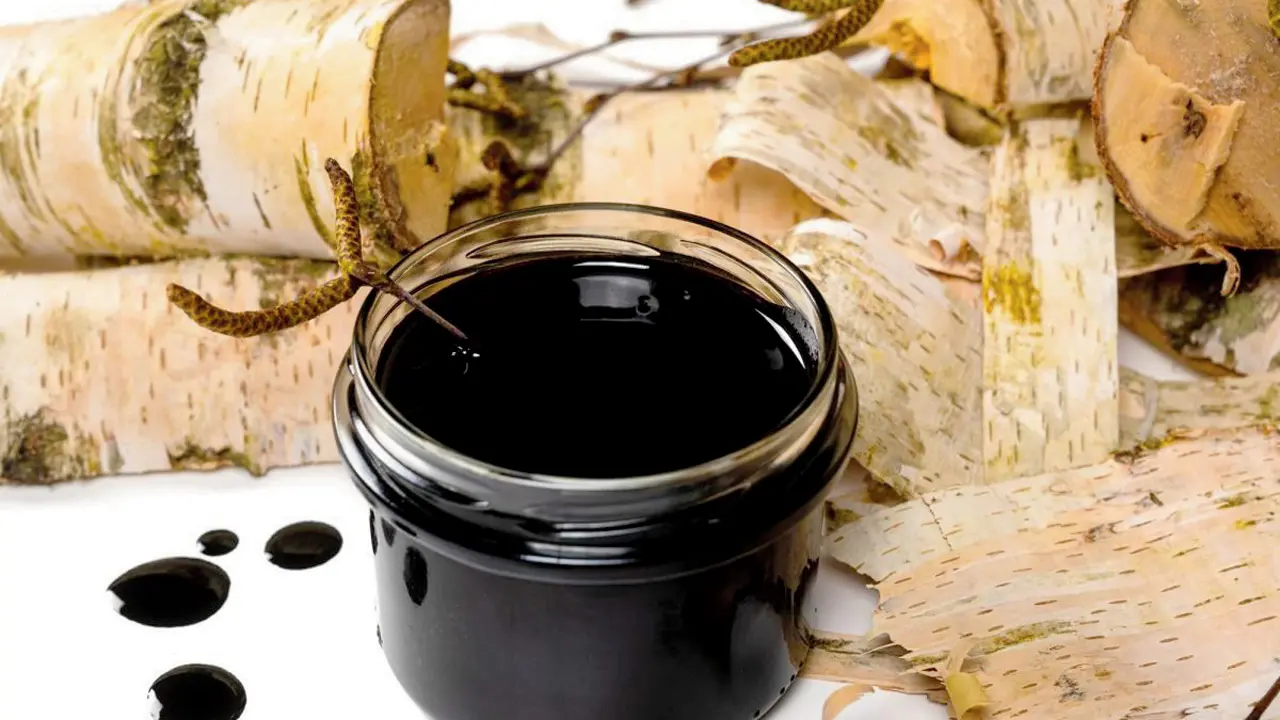 Birch tar may be antibiotic