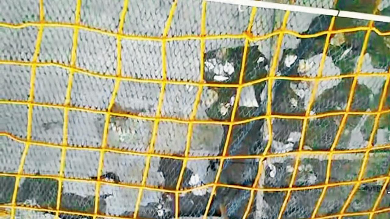 The ceiling of the doctor’s cabin