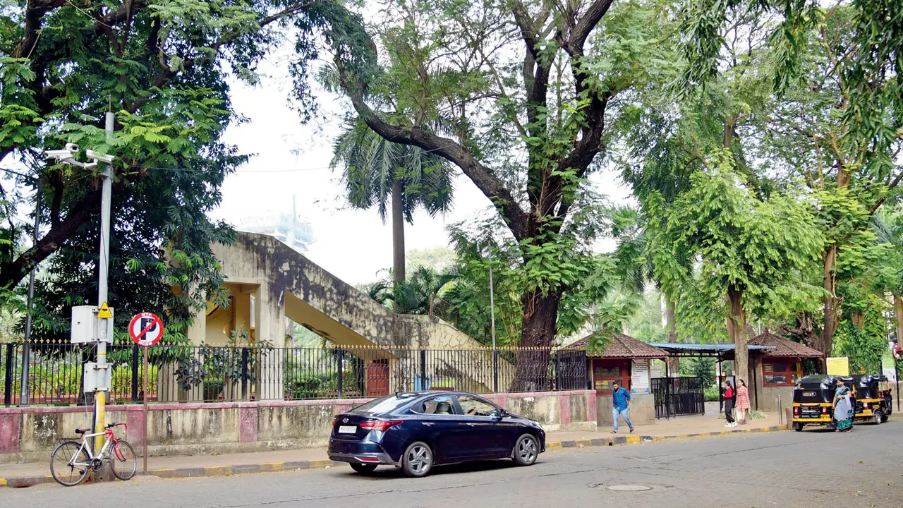 Work on Bandra park revamp must be top-notch with adequate green space