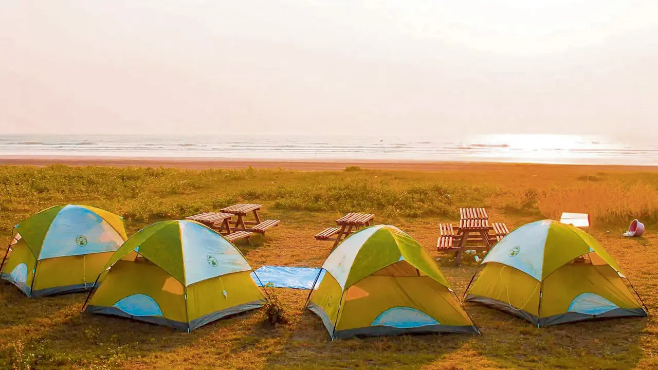 Sign up for these experiences in nature around Mumbai this weekend