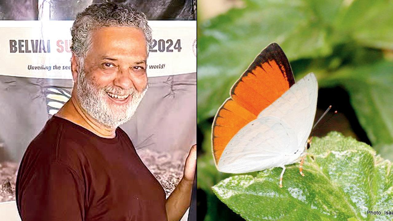 Isaac Kehimkar and Indian Sunbeam butterfly