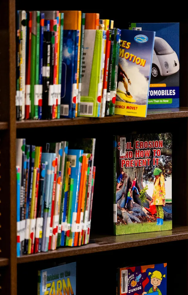 Children`s Book Day 2026: Here are 5 unique facts