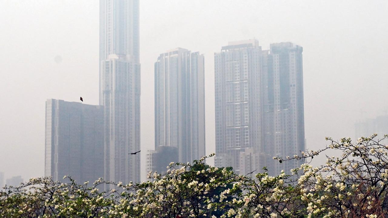 Representation Pic/Atul Kamble