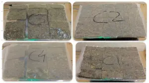 Mumbai Customs seizes 44 kg of hydroponic weed from airport