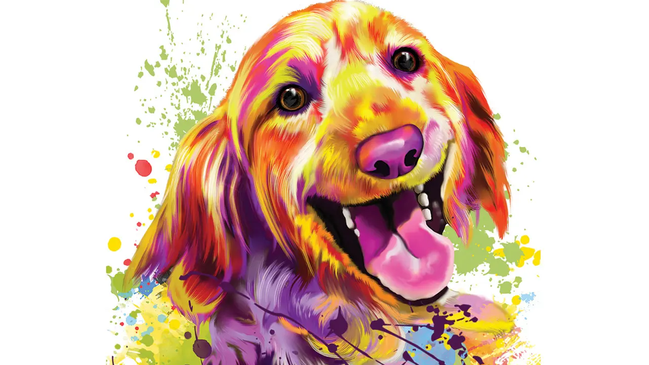 Holi 2026: Pet parents, experts tell you how to take care of your furry friends
