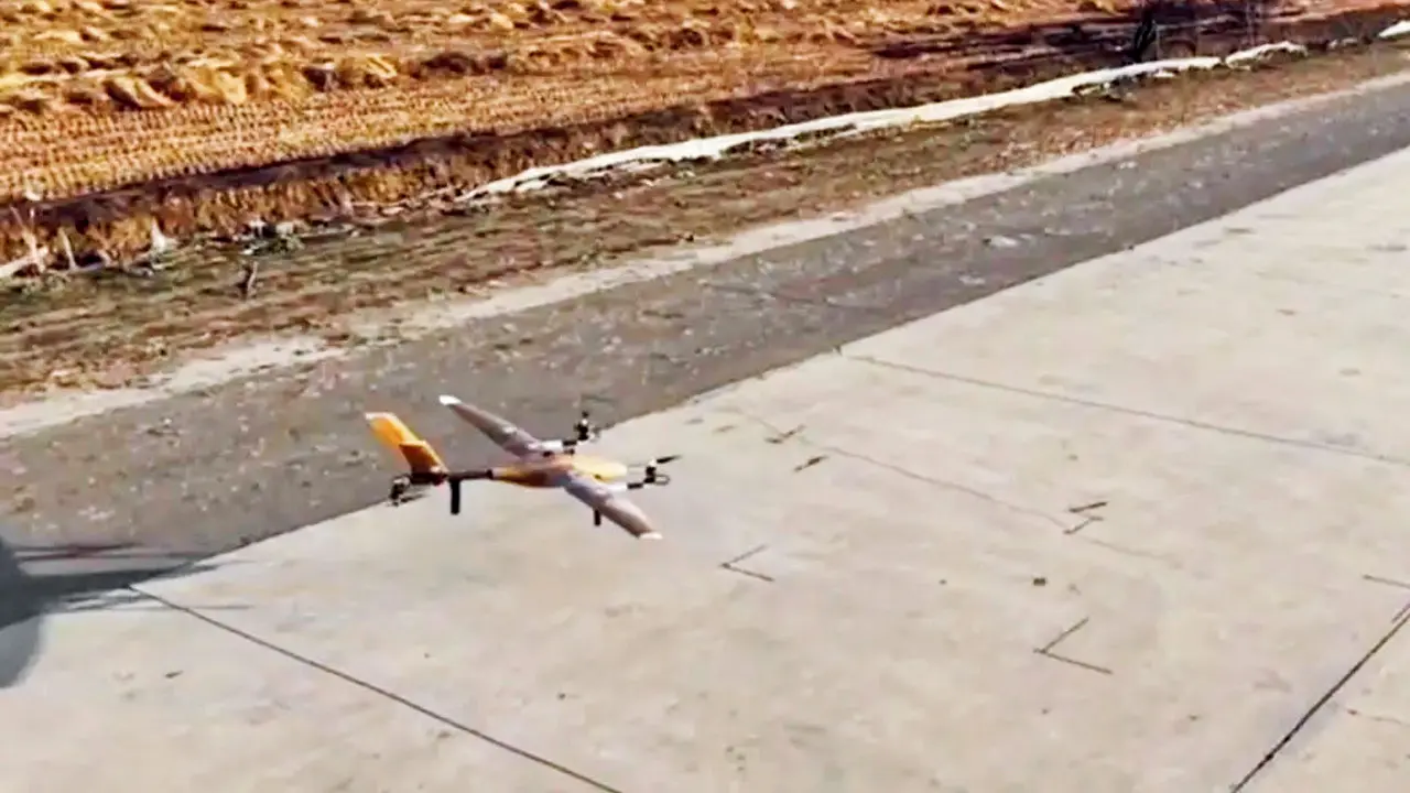 Bamboo lifts off in China