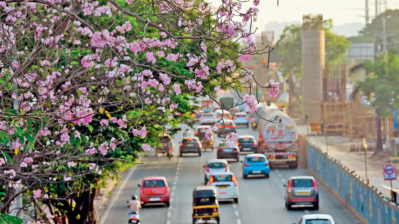 Mumbai Diary: Thursday Dossier