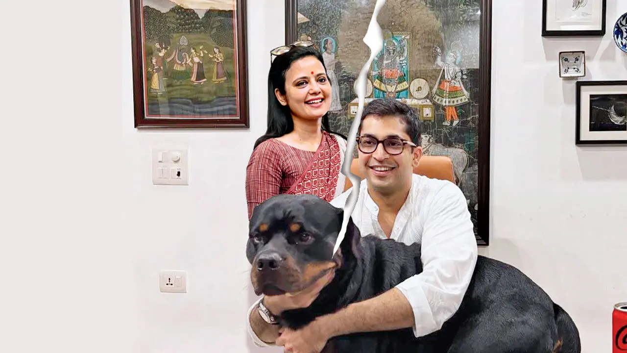 For the love of dog: How Indian couples who split continue to take care of pets