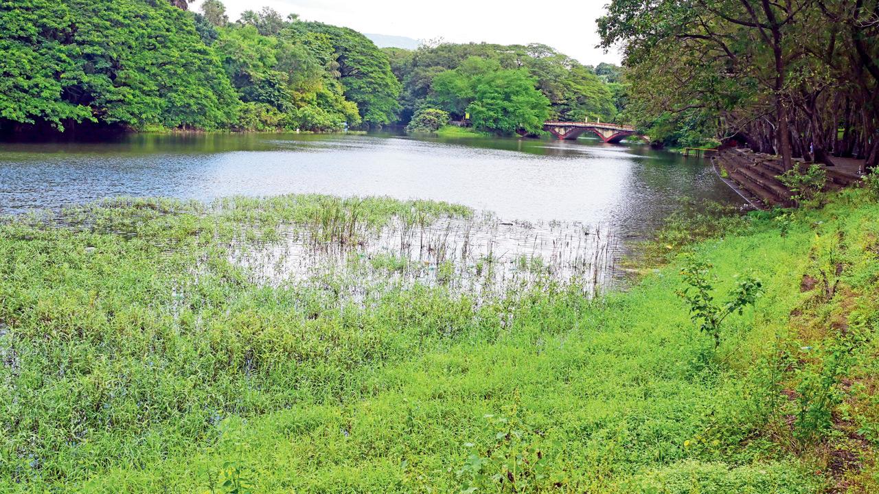 Maharashtra to get Wildlife Research Institute near Shahapur, gets nod