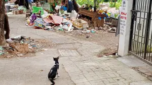  Mid-Day ask the govt: Residents call out hawkers, pigeons, MTNL and potholes