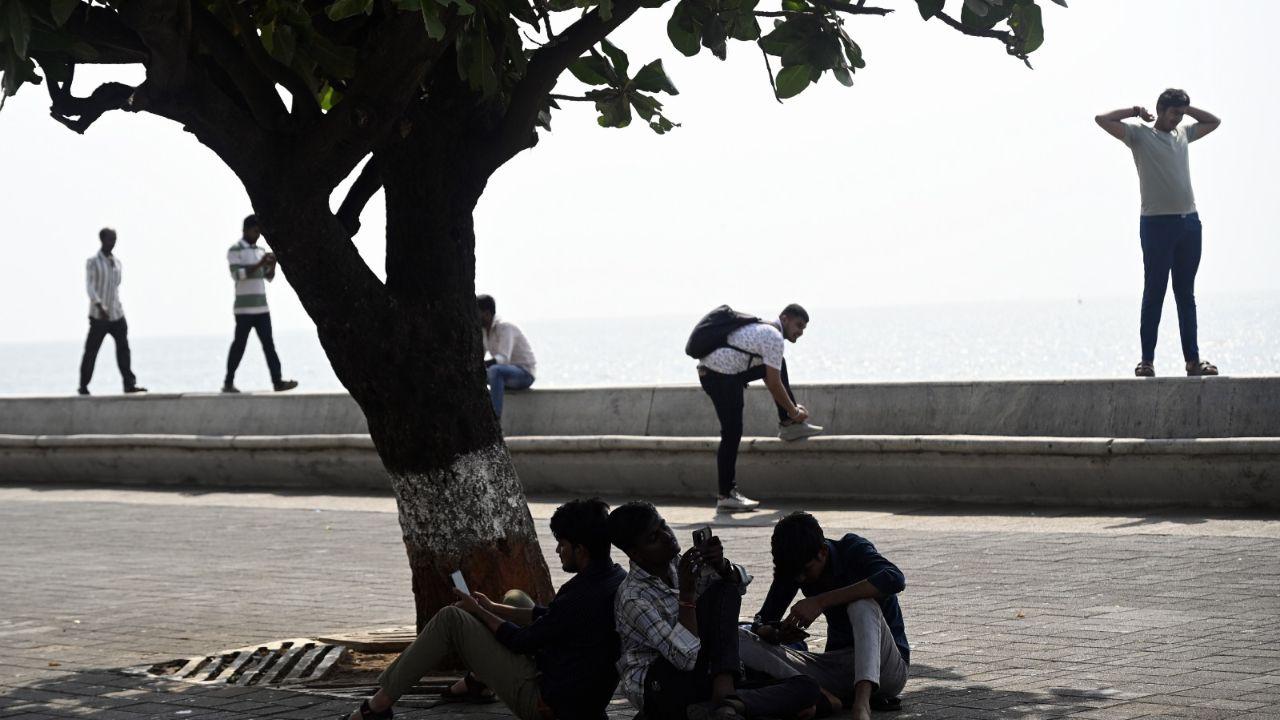 Visitors at Marine Drive take shelter under a tree amid the blazing heat