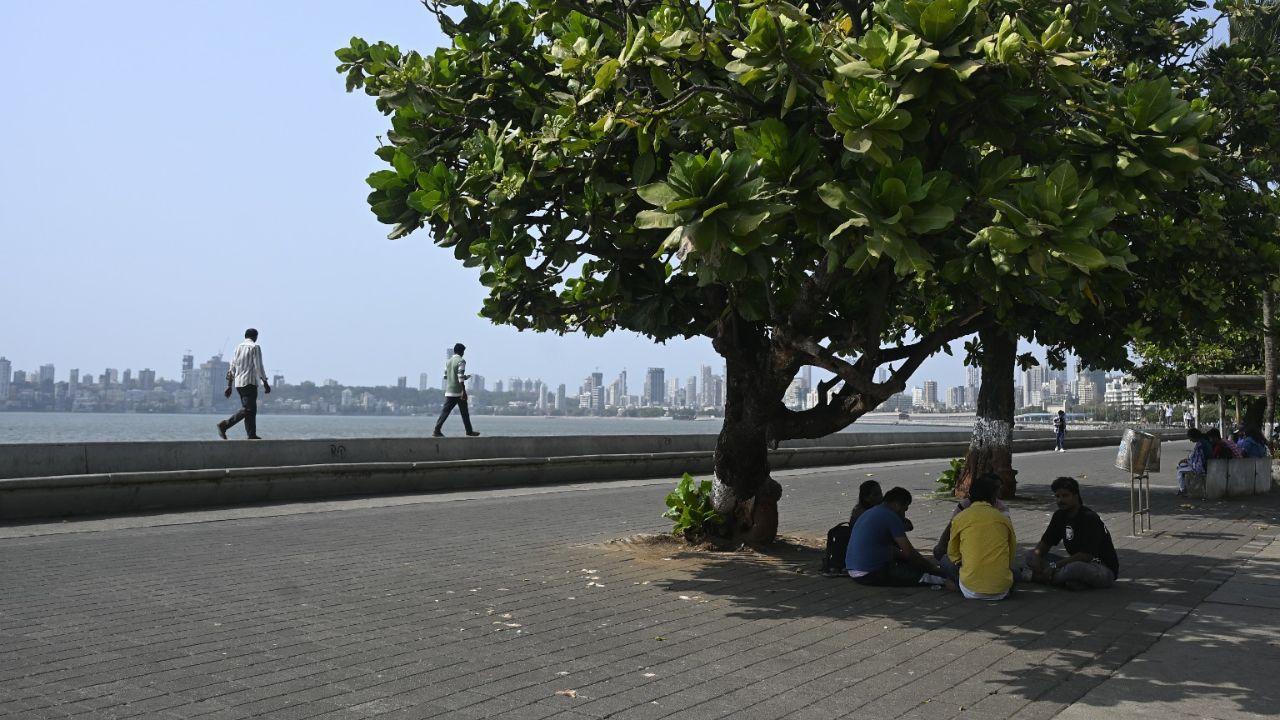 The weather bureau has predicted maximum and minimum temperatures in Mumbai to hover around 32 and 22 degrees Celsius over the next 24 hours