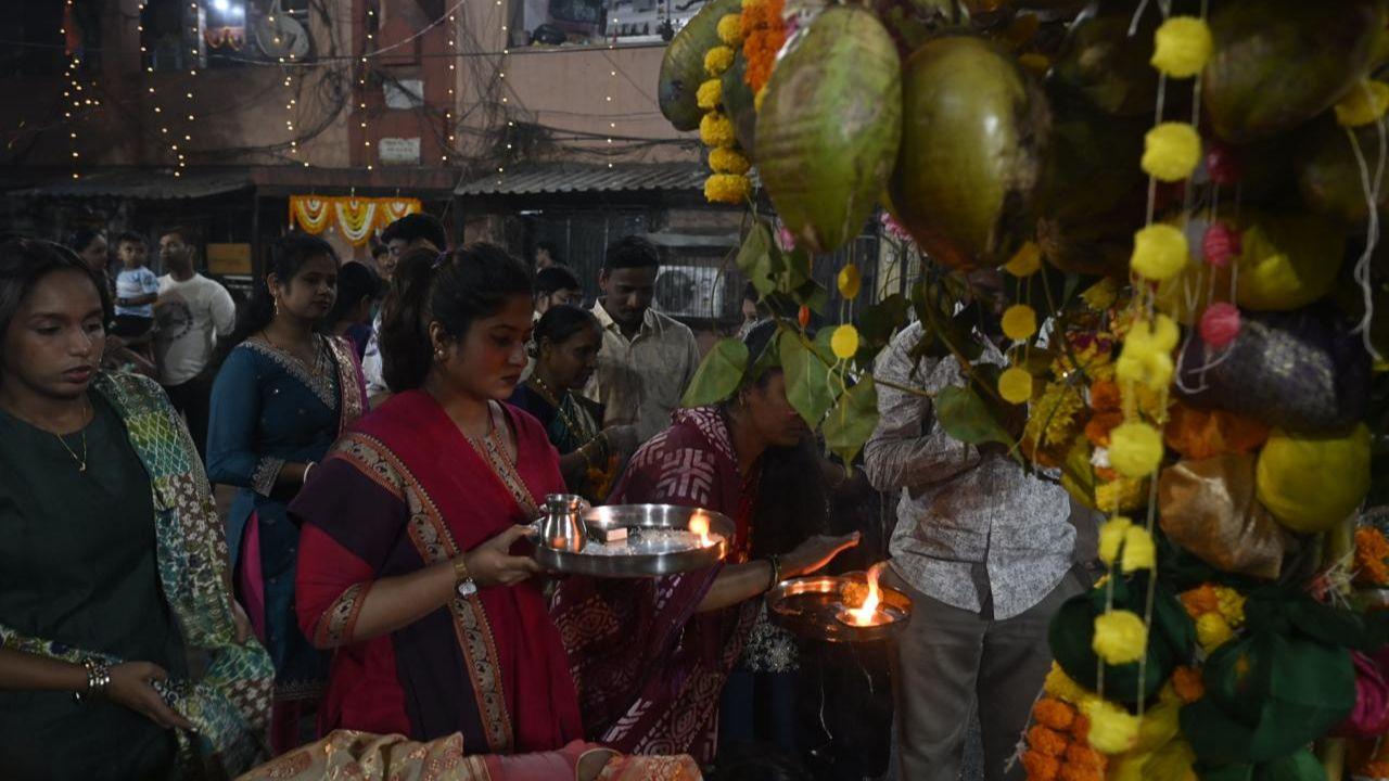 Holi marks the seasonal change to spring, when crops begin to ripen and nature blooms, making it a harvest-spring festival in agrarian communities. PIC/ASHISH RAJE