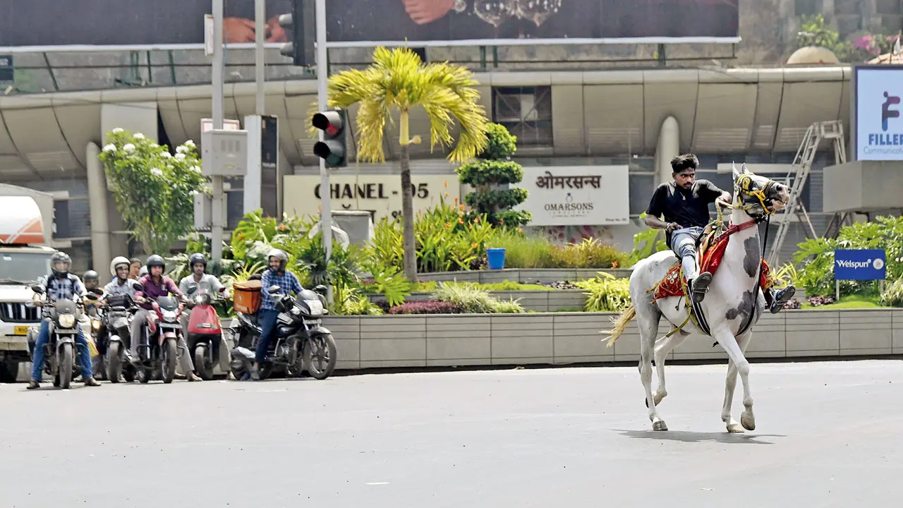 Mumbai Diary: Friday Dossier