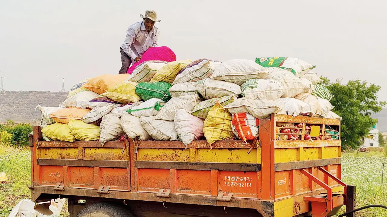 How West Asia conflict is torpedoing farmers’ lives in Maharashtra