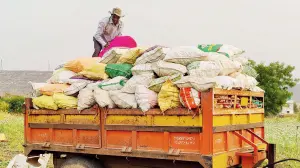 How West Asia conflict is torpedoing farmers’ lives in Maharashtra