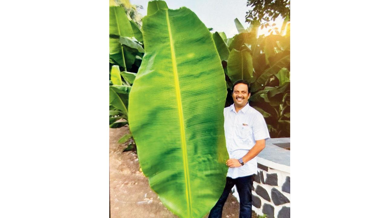 Kapil Jayaprakash Jachak