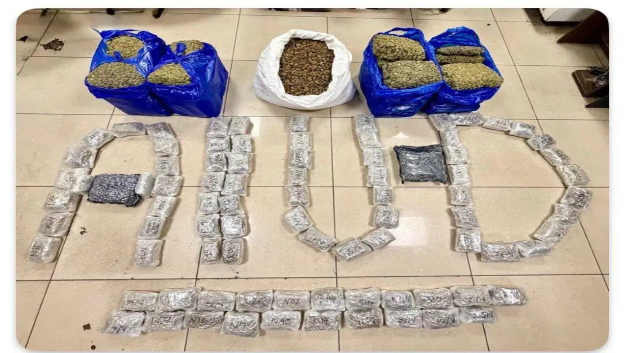 Customs seizes hydroponic weed worth Rs 64.39 crore at Mumbai airport; four held