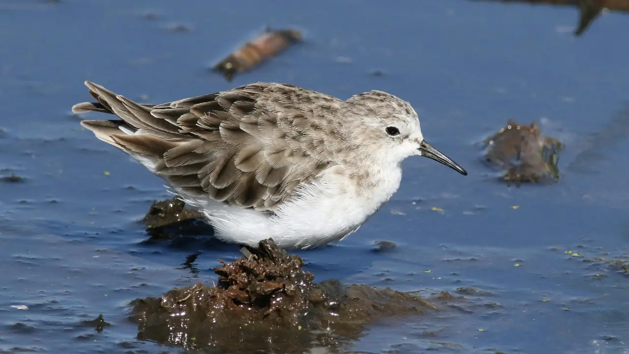 Image for representational purpose only. Photo Courtesy: File pic