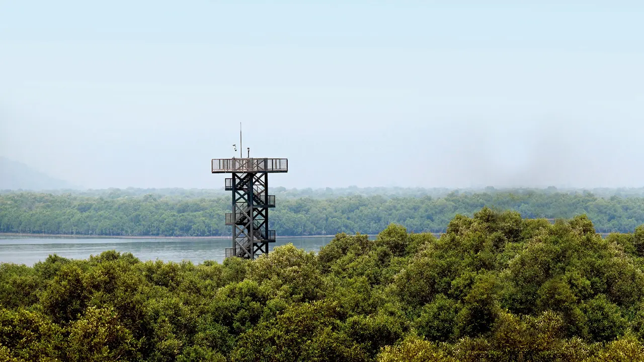 Gorai Mangrove Park in Mumbai likely to open to public in April