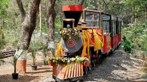Engine issues brings newly launched SGNP toy train service, 'Van Rani' to a halt