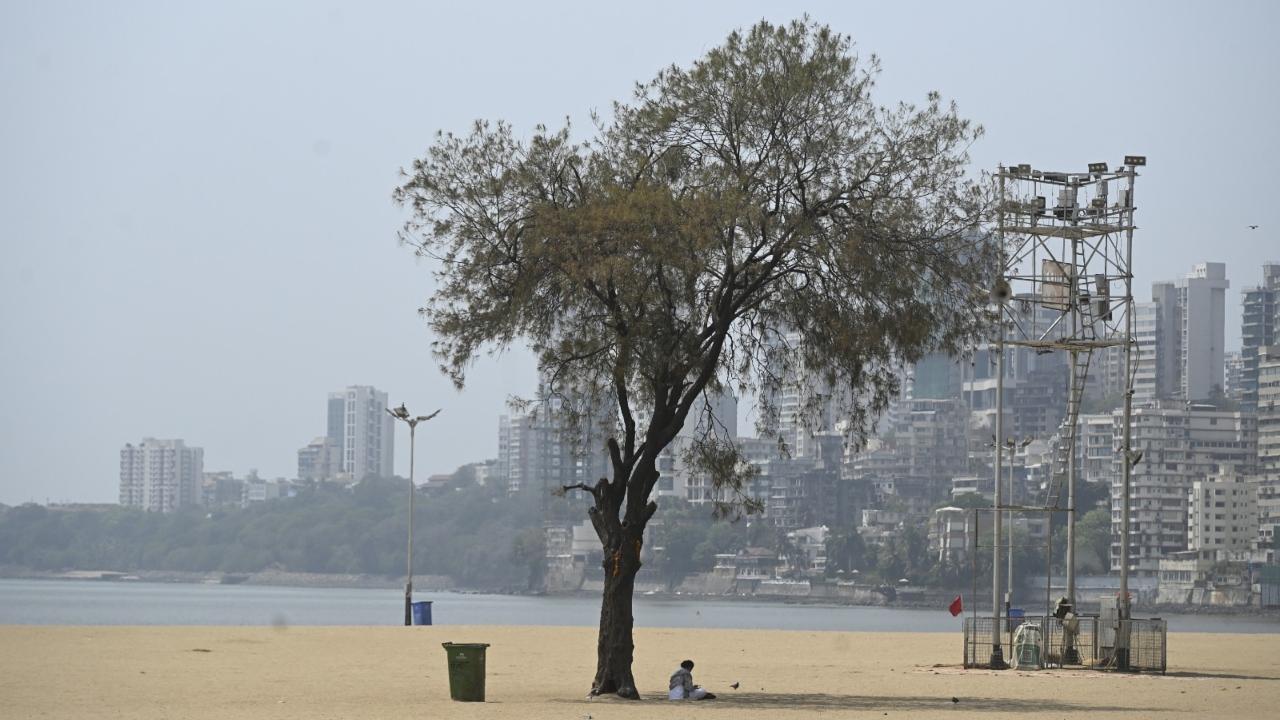 Air quality monitoring stations across Mumbai reported mixed but generally improved readings during the day.