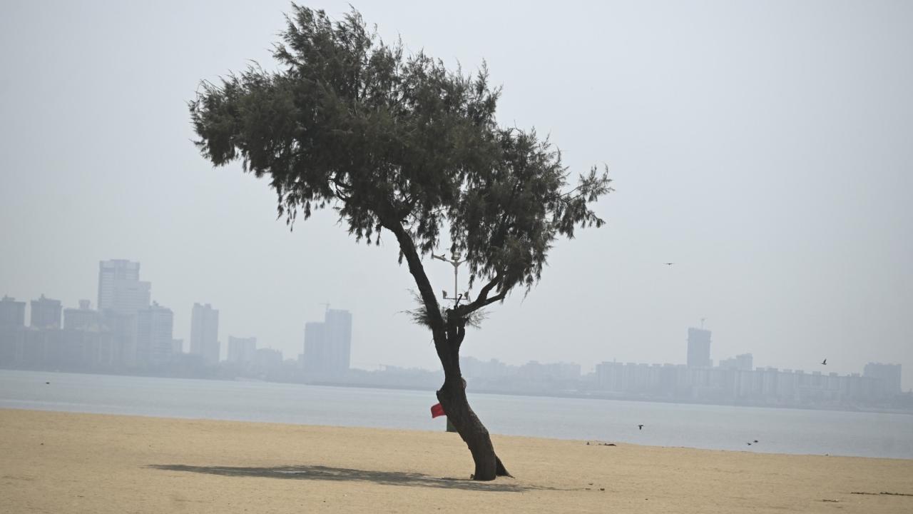 Meteorologists have predicted that Mumbai’s temperature could touch 35 degrees Celsius, with the minimum temperature likely to hover around 23 degrees Celsius.