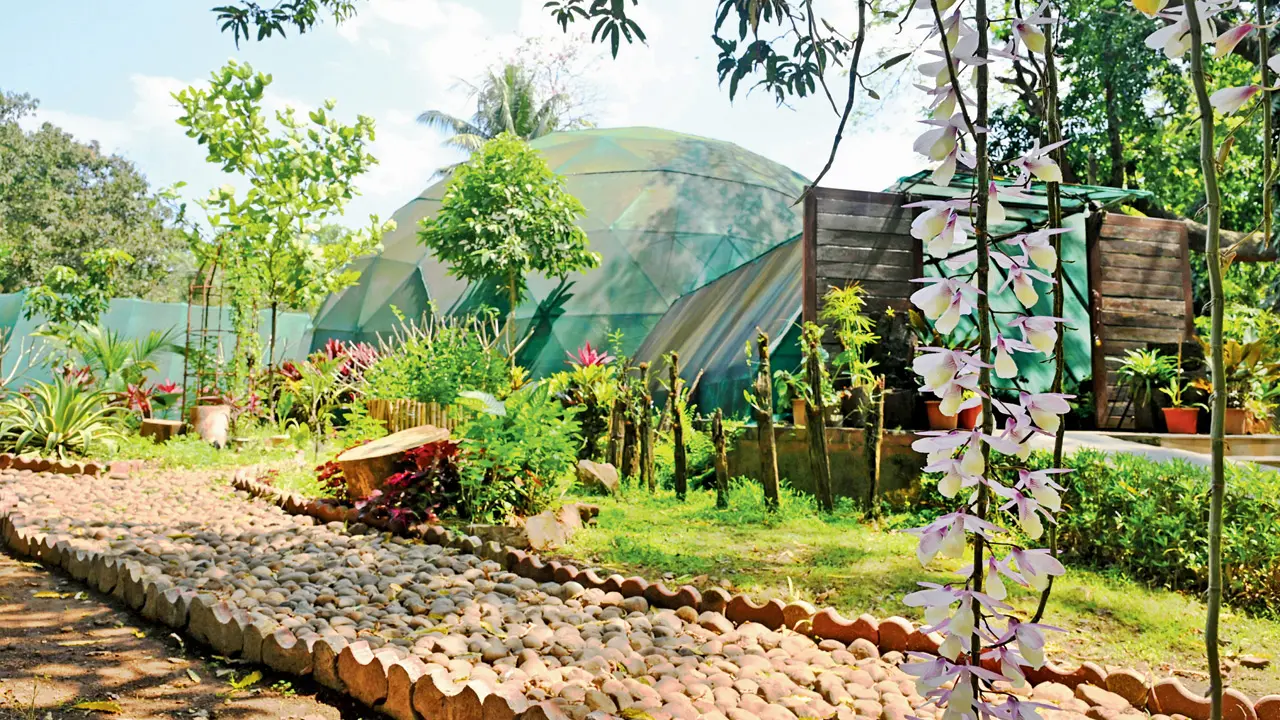 Simply extra-orchid-nary! Inside Sanjay Gandhi National Park’s orchidarium