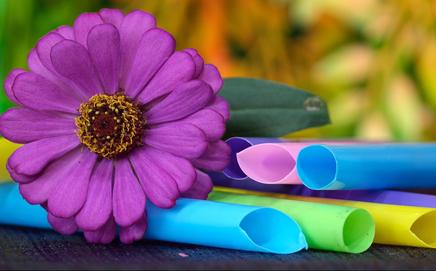 Representational Image. Pic/Pixabay