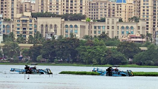 BMC nears completion of Powai lake sewage-free project