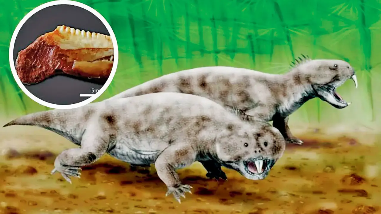 World’s smallest rhynchosaur fossil found
