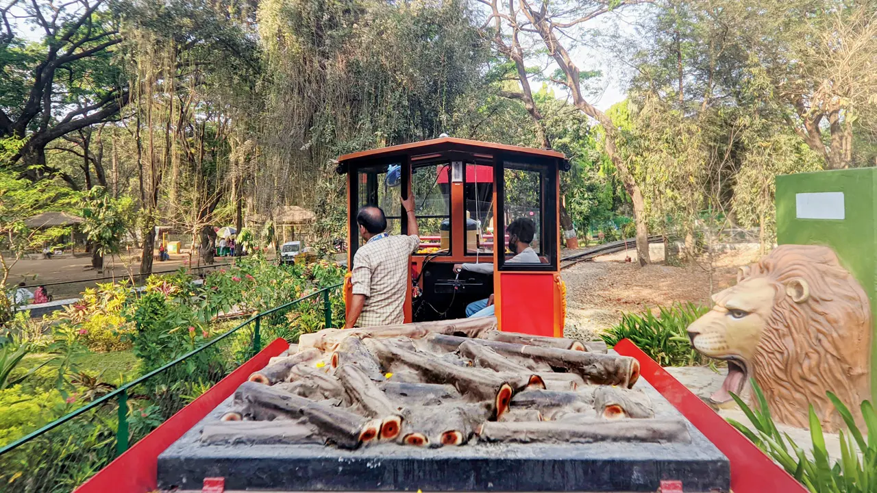 The Vanrani train in motion