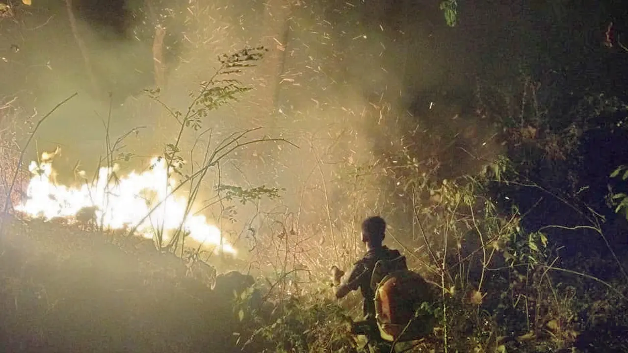 Mumbai: Over 10 forest fires reported in SGNP ranges