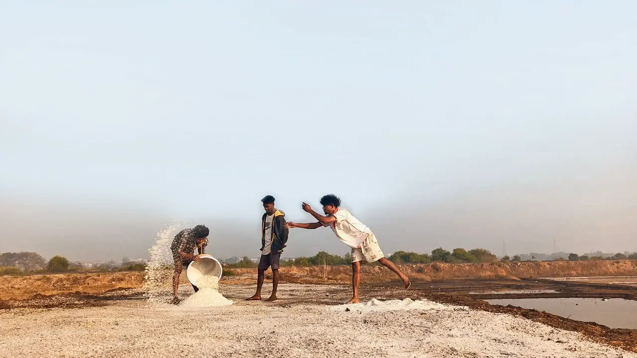 Immerse in this Vasai saltpan walk to learn how local communities make it