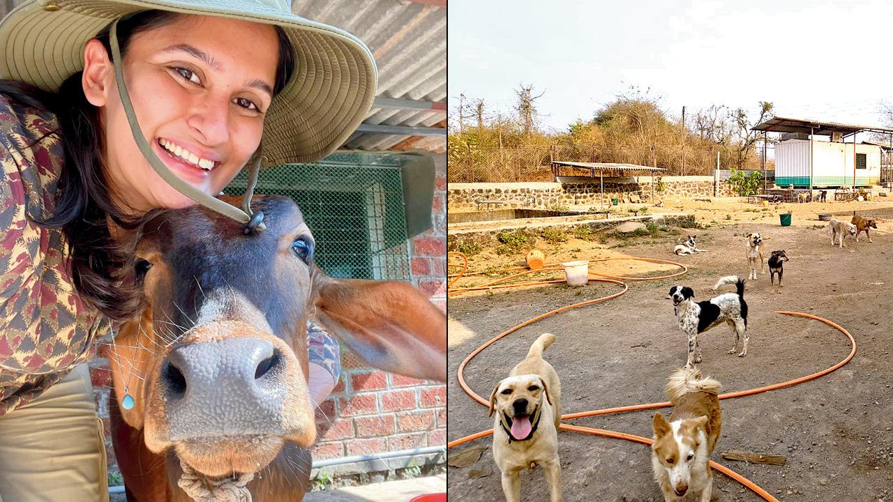 Prageeyaa Khanna (right) The Kibo Project Farm Sanctuary, in Uddhar, Raigad.Pics courtesy/Kibo Project
