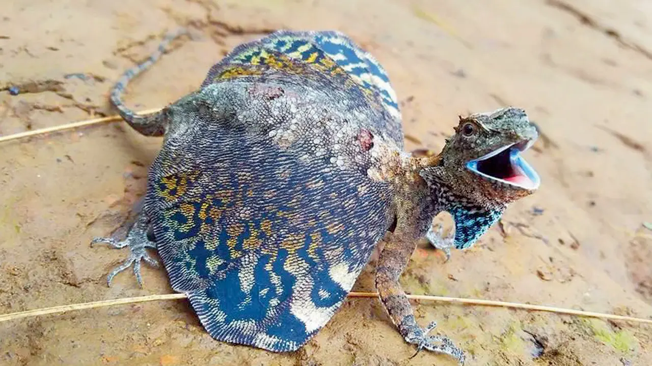 Expert committee to investigate threats from undiscovered species