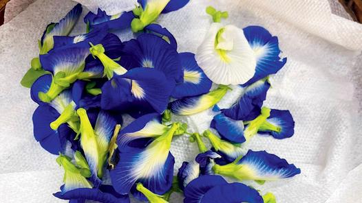 BMC initiative bears fruit as Matunga school’s terrace garden become organic hub