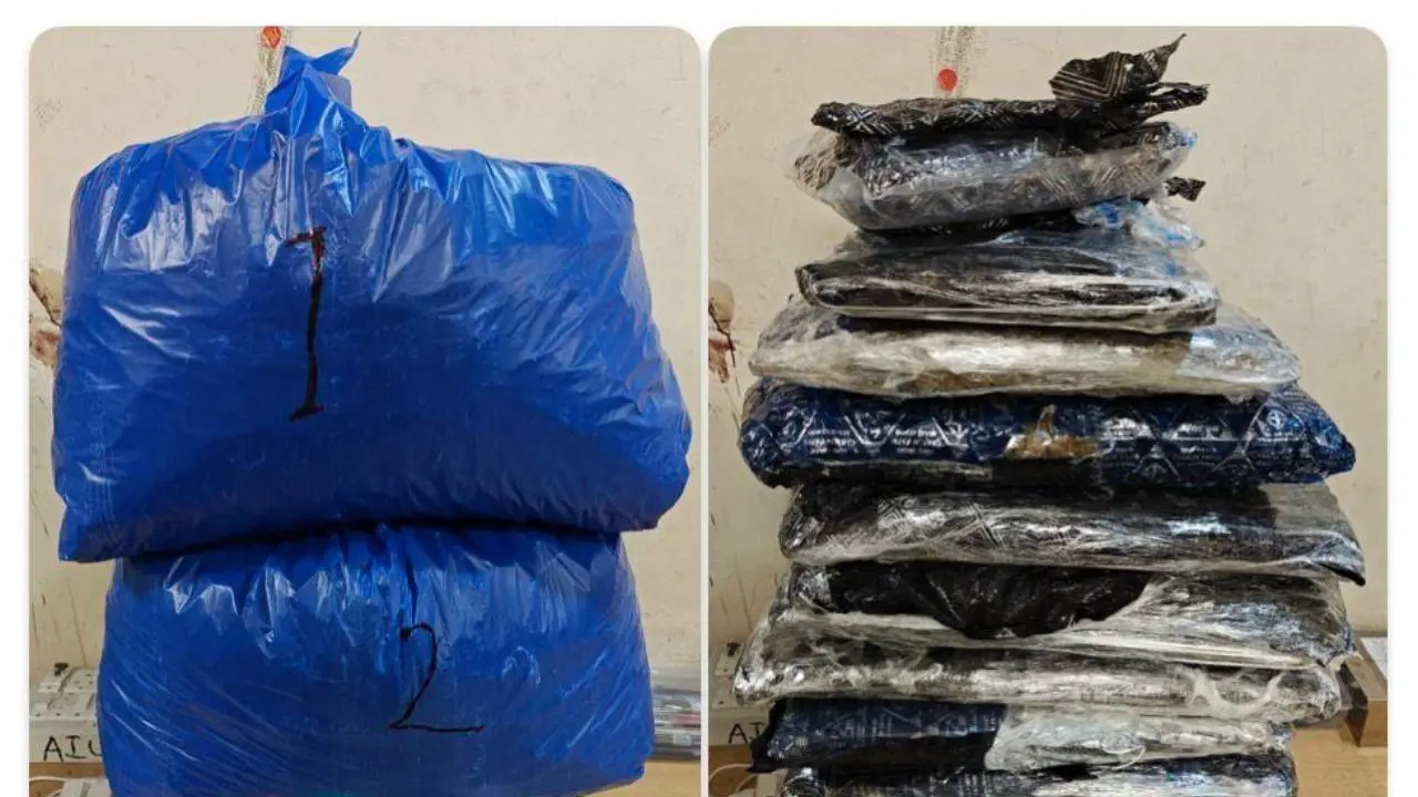 Mumbai Customs seizes hydroponic weed worth Rs 12.68 crore from airport