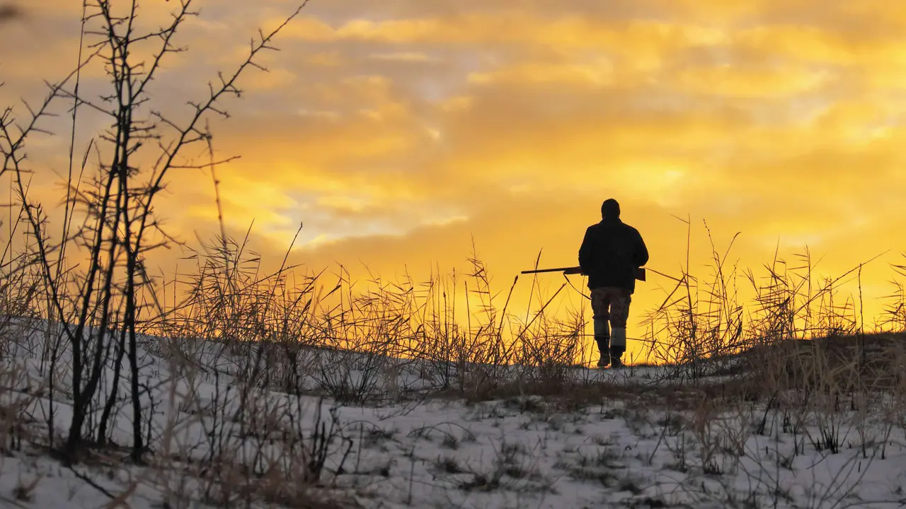 Conservationists push for dedicated wildlife crime unit in Maharashtra