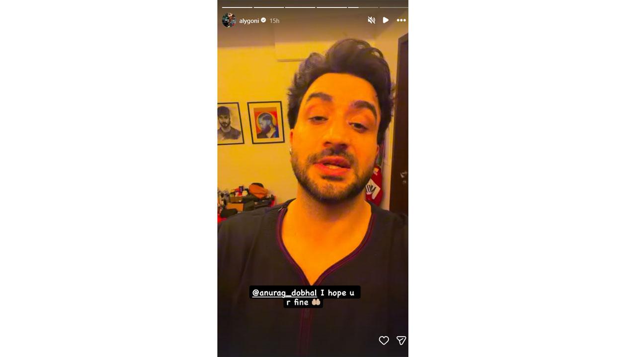 Picture Courtesy/Aly Goni`s Instagram account