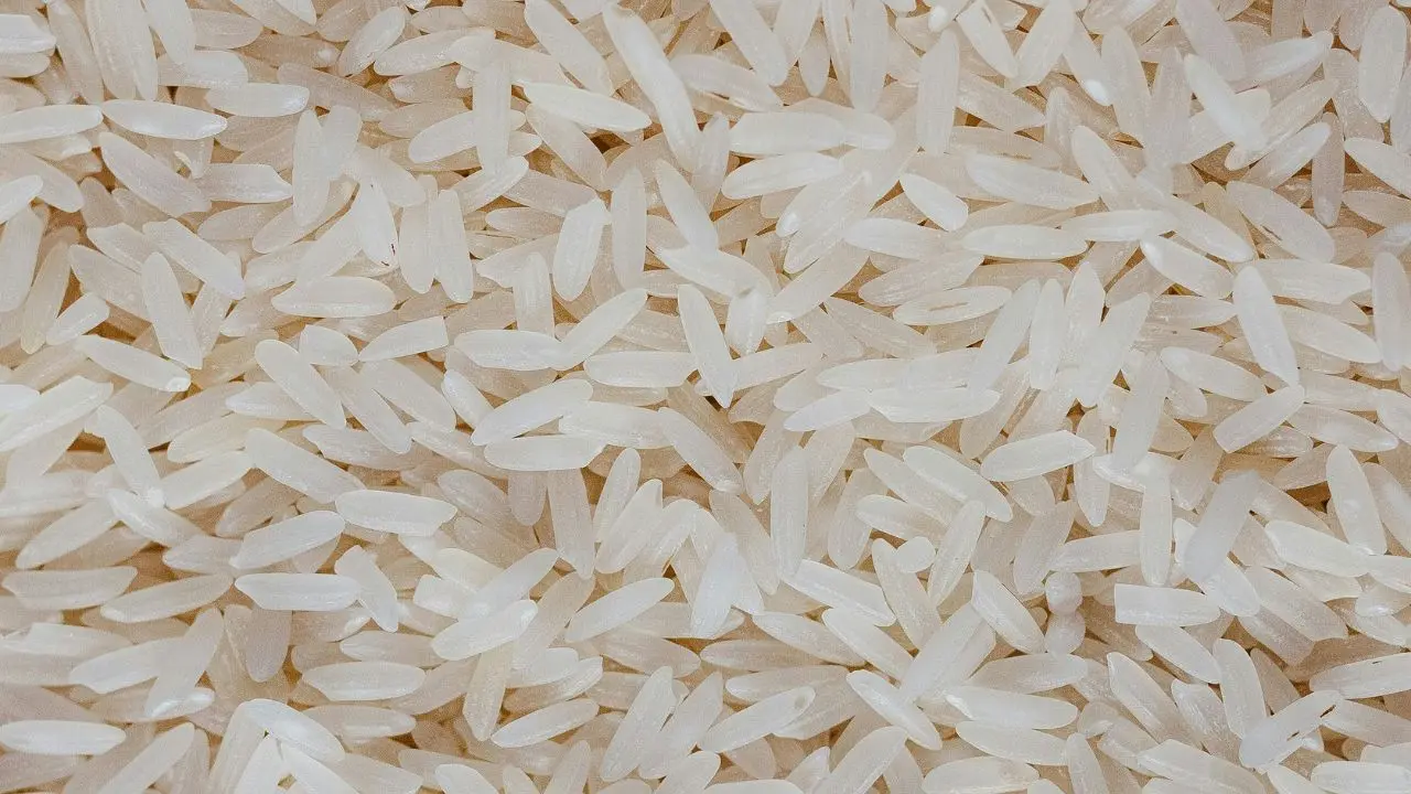 West Asia war: India’s premium basmati rice exports hit
