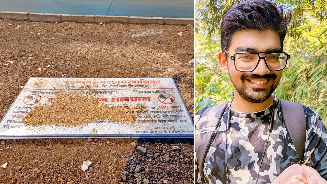 The fallen signboard doubles as a feeding spot. Pic Courtesy/Meehir Pawar; (right) Meehir Pawar