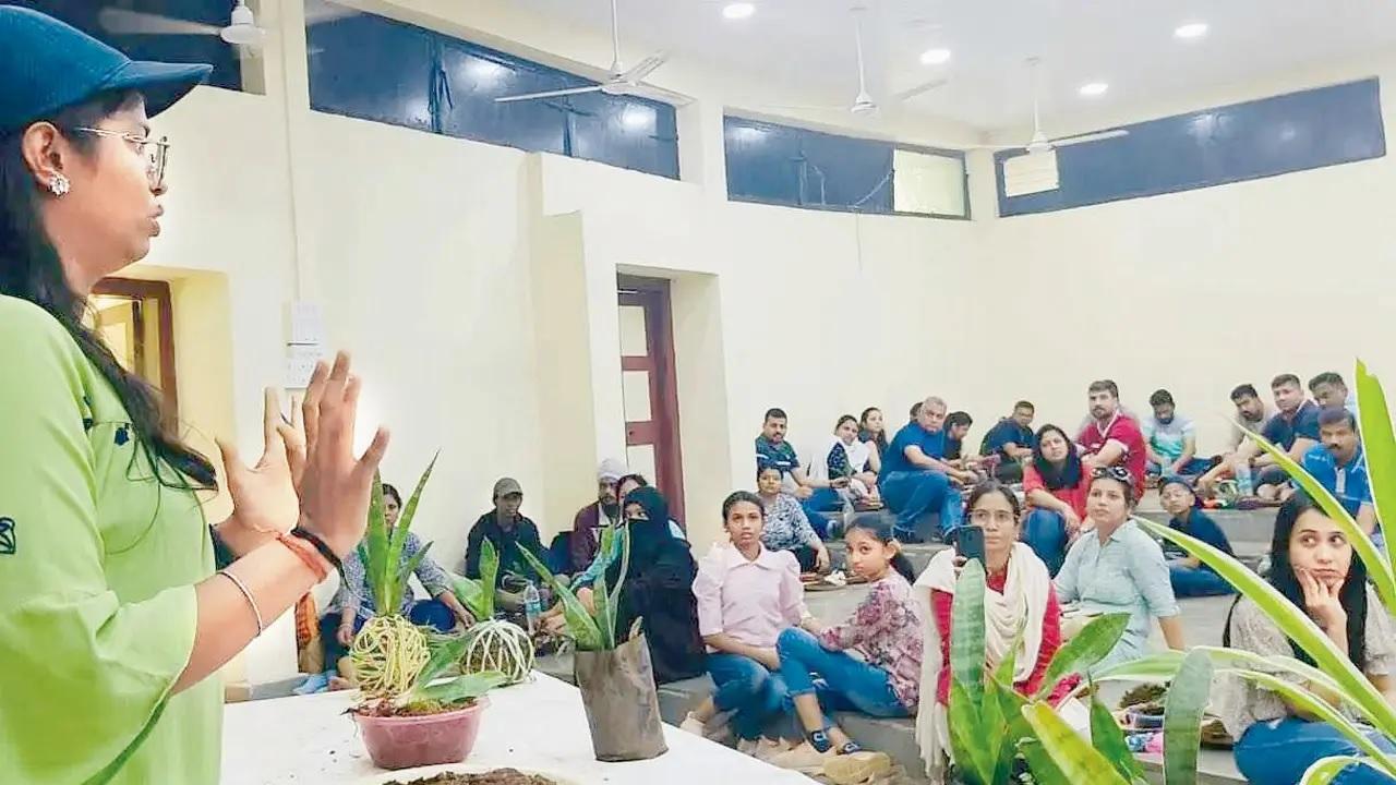 Get artsy with plantsA session on the Japanese art of Kokedama teaches participants how to transform plants into pieces of natural art with living moss balls.
Time 9.30 am onwardsAt Maharashtra Nature Park, Sion Bandra Link Road, Dharavi. Log on to @naturalistexEntry Rs 500 onwards