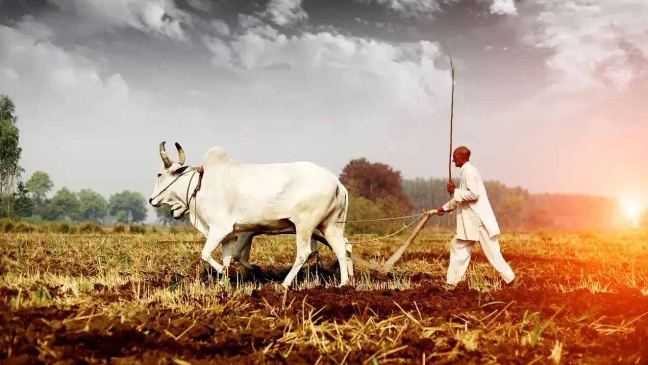 Mumbai LIVE:  Maharashtra launches offline photo upload for e-crop registration